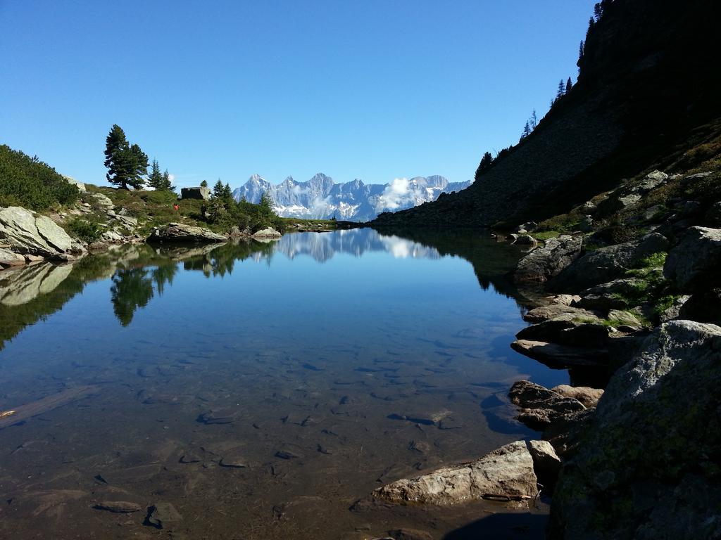 Eisbacherhof سخلادميخ المظهر الخارجي الصورة