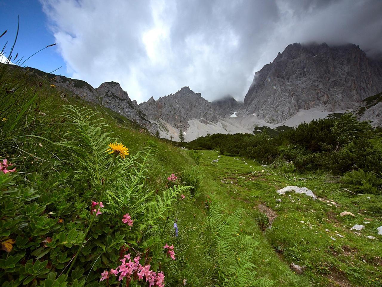 Eisbacherhof سخلادميخ المظهر الخارجي الصورة